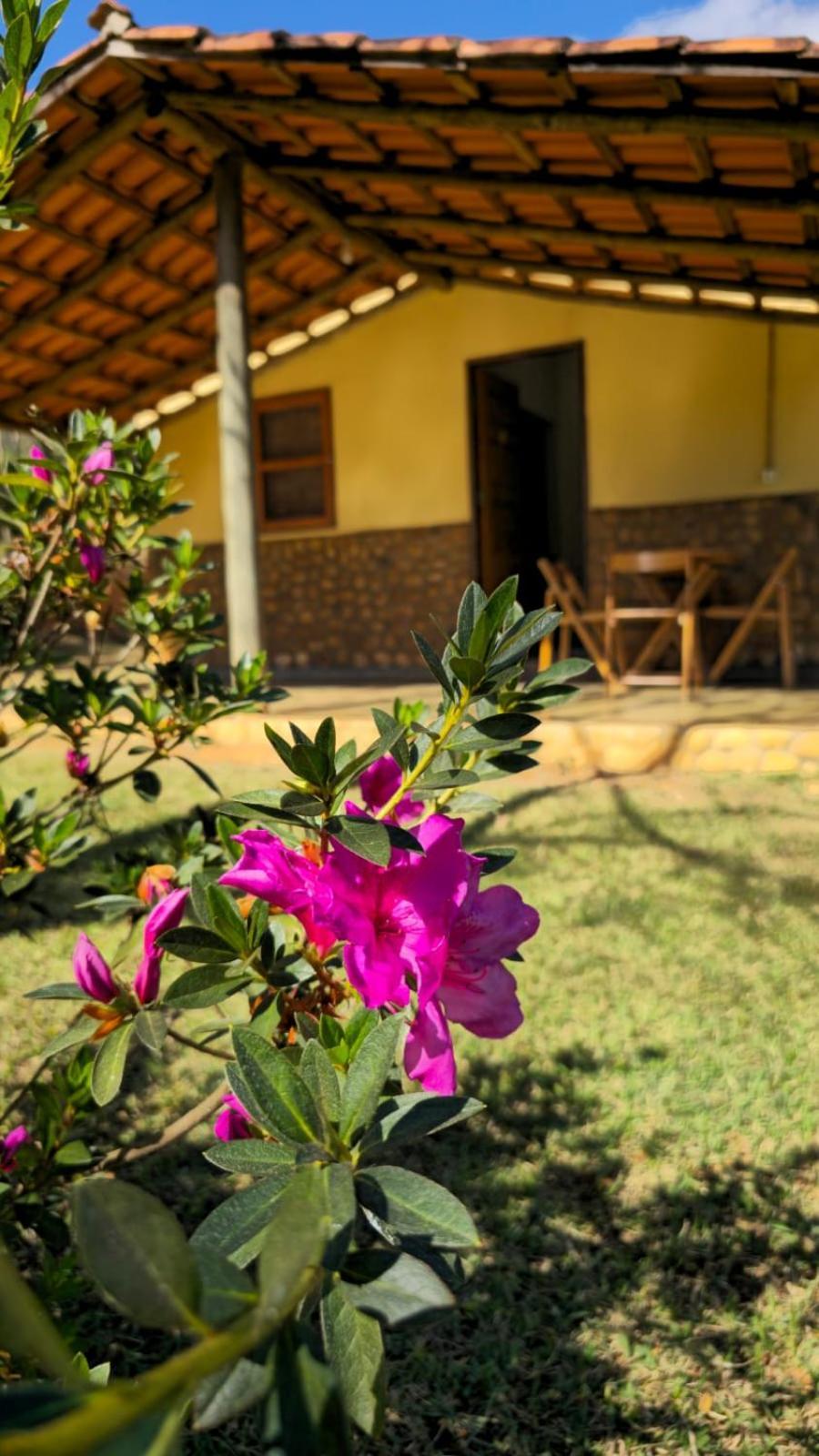 Pousada Velho Chico Vargem Bonita Exteriör bild
